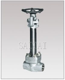  Y Globe Valve (forged steel 45° inclined globe valves)