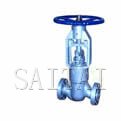Globe Valves