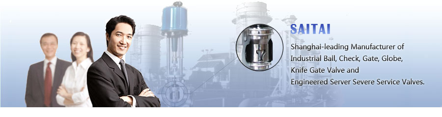 Shanghai Saitai Pump and Valve Corporation