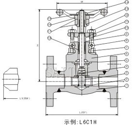 锻钢法兰截止阀结构图