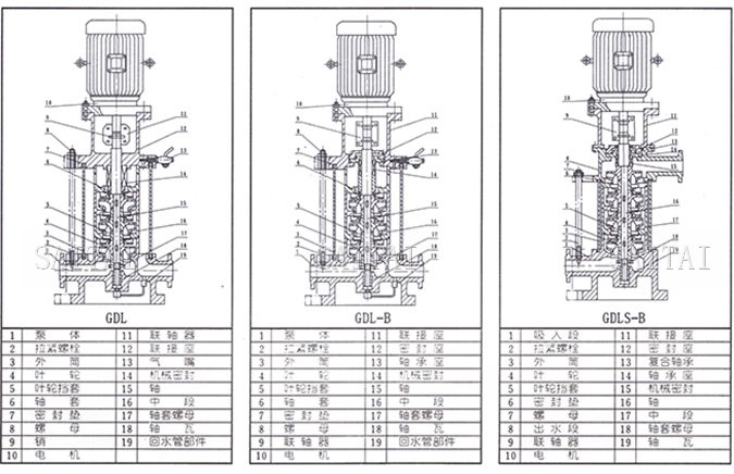 GDL管道泵结构简图