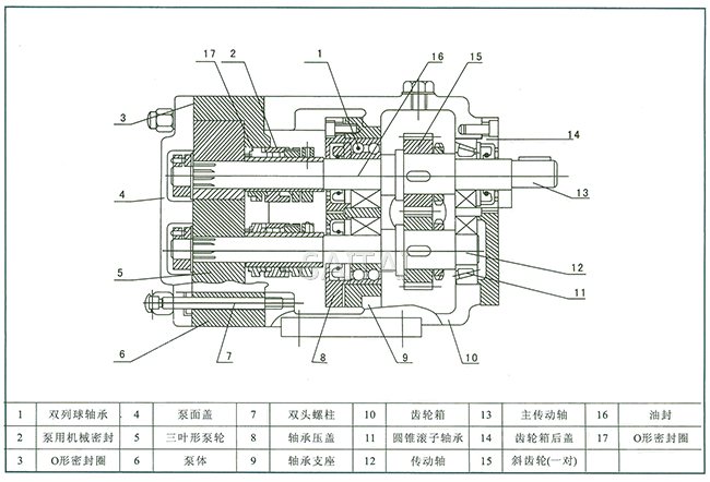 LQ3A型不锈钢转子泵结构图