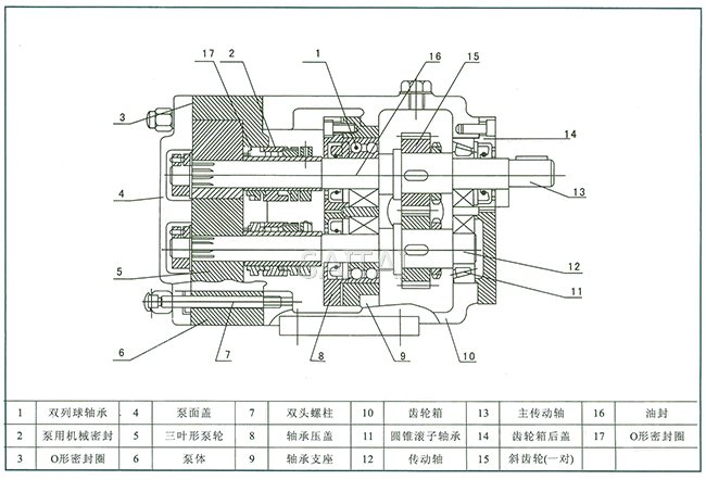 转子泵工作原理图图片