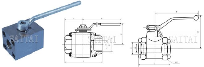 高压内螺纹球阀 Q11N-100/320 C/P/R